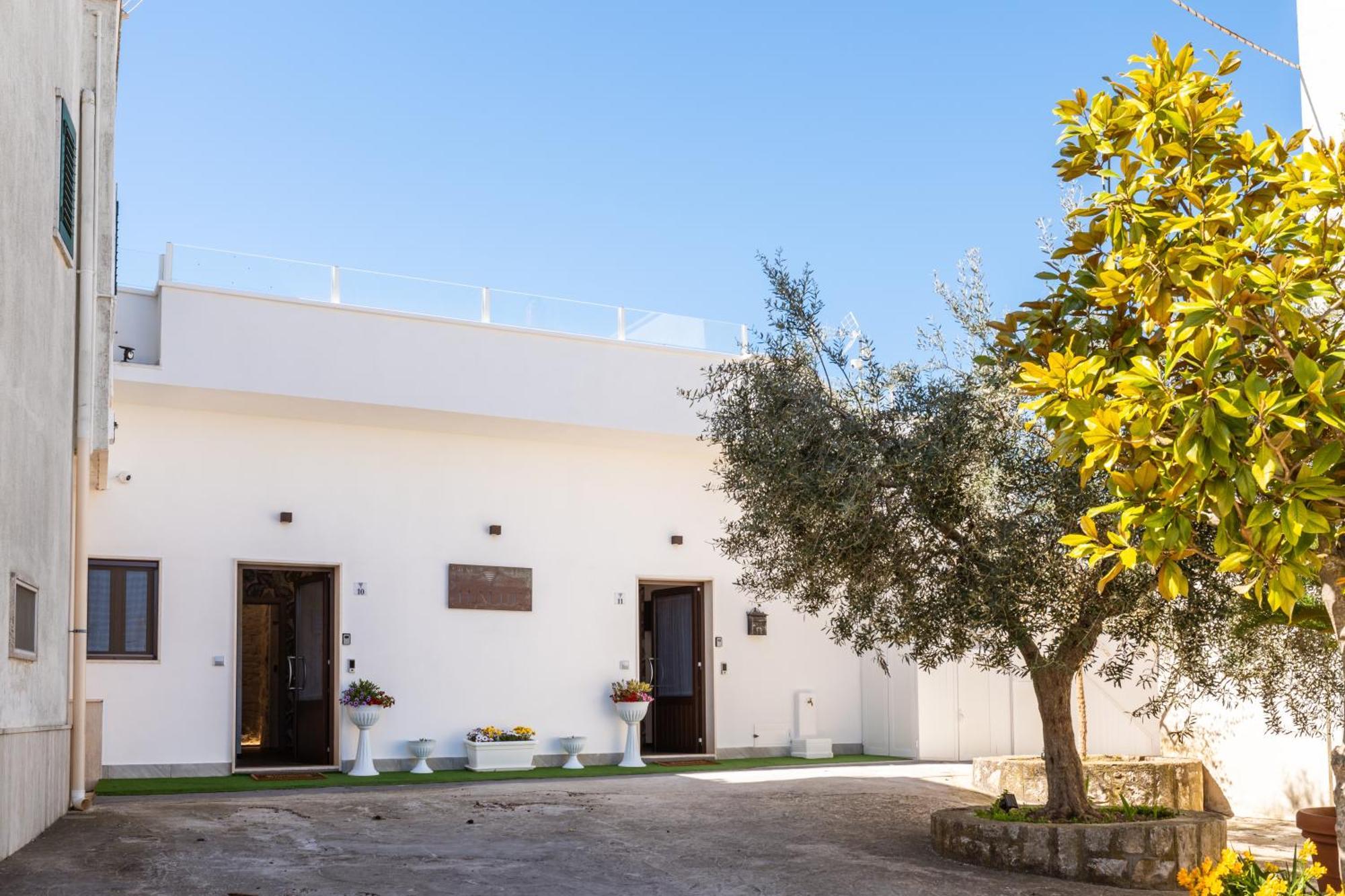 Luxuite Spa Con Piscina E Jacuzzi Alberobello Extérieur photo